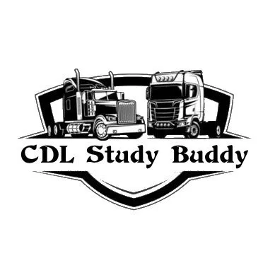 driversedstudybuddy.com's icon