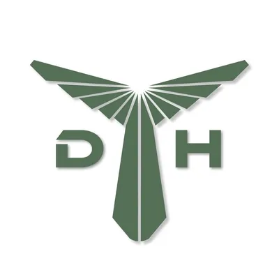 dronehub.site's icon