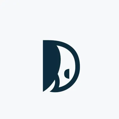 dronenord.no's icon