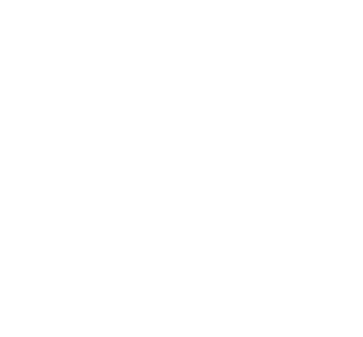 Droomschipp