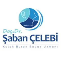 drsabancelebi.com's icon