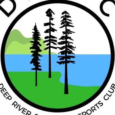 drssc.ca's icon