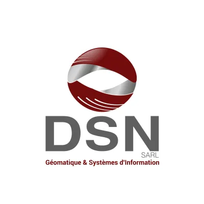 DSN's icon