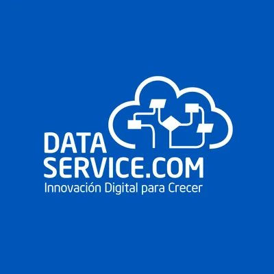 ds.com.pe's icon
