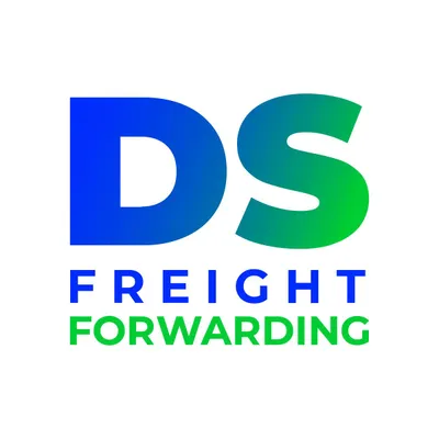 dsff.eu's icon