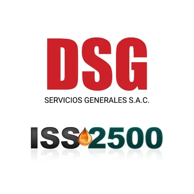 dsgsac.com's icon