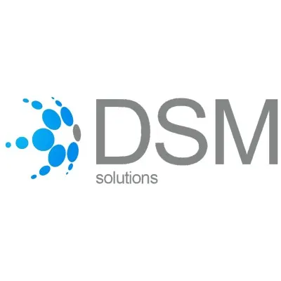 dsmsolutions.cl's icon