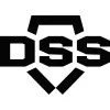 dss-cz.com's icon