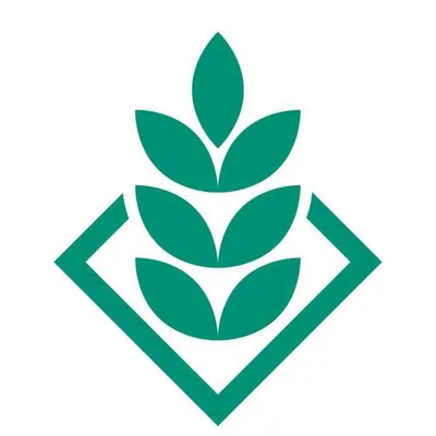 dsv-froe.dk's icon
