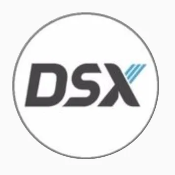 dsx.com.br's icon