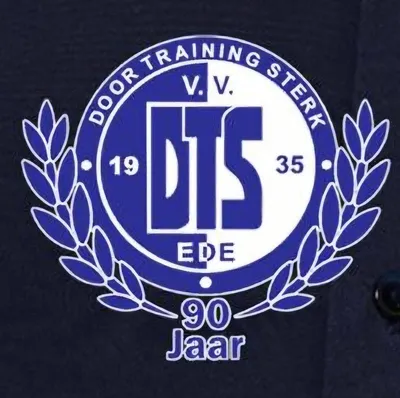 dtsede.nl's icon