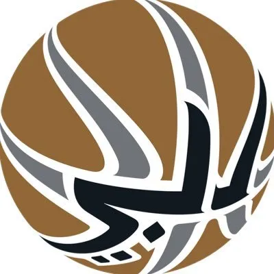 dubaibasketball.com's icon