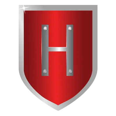 dubaisecuritysystems.com's icon