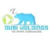 dubiholdings.co.za's icon