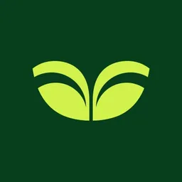 Duetti