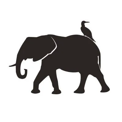 duffleandcompass.com's icon