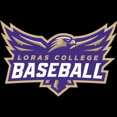 duhawks.com's icon