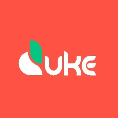 dukesell.com's icon