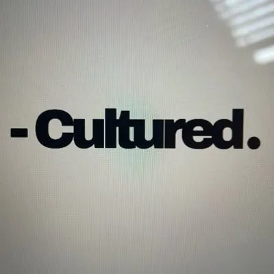 dumilegroup.com's icon
