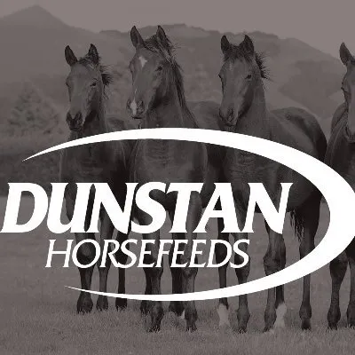 dunstan.co.nz's icon