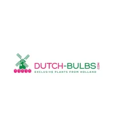 Dutch-Bulbs