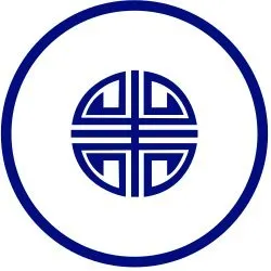 dvanguard.co.uk's icon