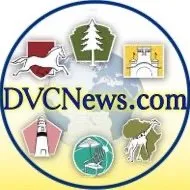dvcnews.com's icon