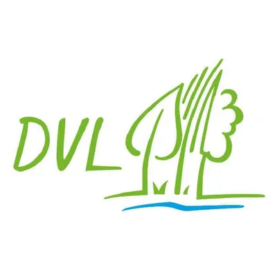 dvl.org's icon