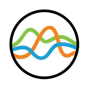 dvsanalytics.com's icon