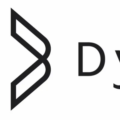 dynami-battery.com's icon