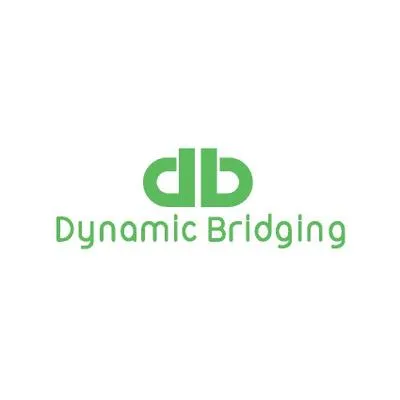 dynamicbridging.co.za's icon