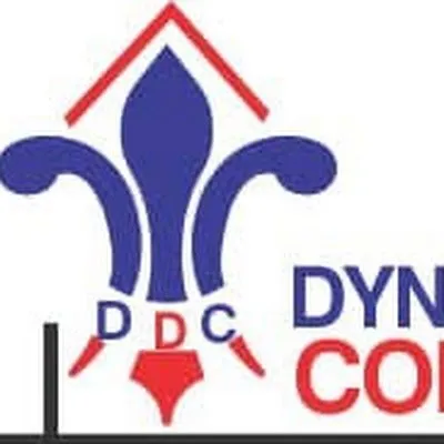 dynamicdataconsults.com's icon