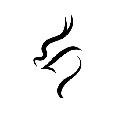 dynastytravel.com.sg's icon