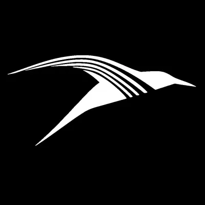 dzyne.com's icon
