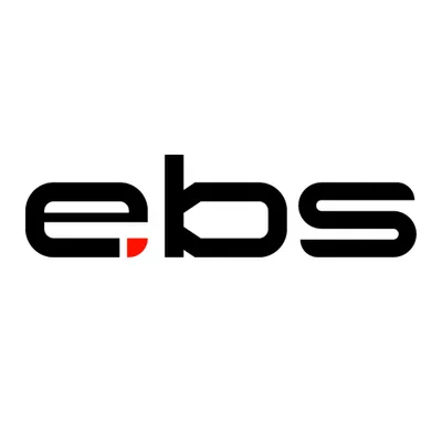 e-batterysystems.com's icon