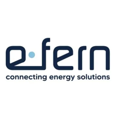 e-fern.com's icon