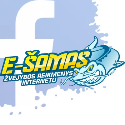 e-samas.lt's icon