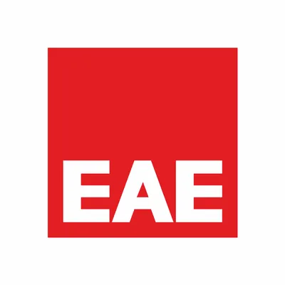 eaeitalia.it's icon