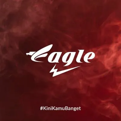 eagle.co.id's icon