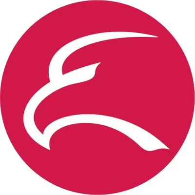 eagle411.com's icon