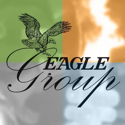 eaglegroupmanufacturers.com's icon