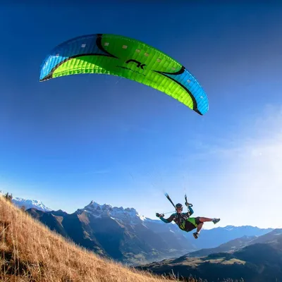 eagleparagliding.com's icon