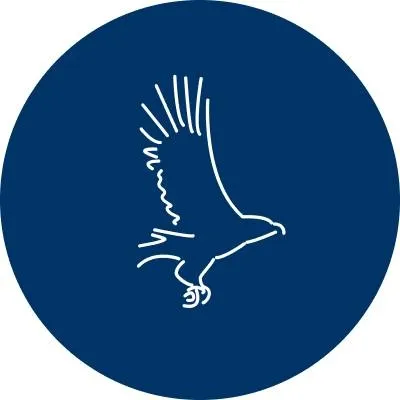 eaglestone.be's icon