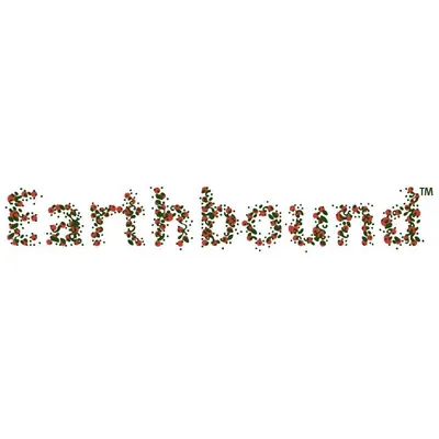 earthbound-sneakers.com's icon