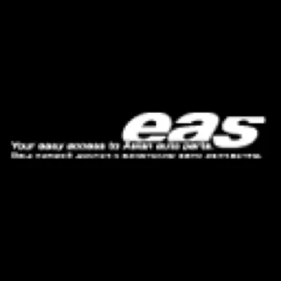 eas-automotive.com's icon