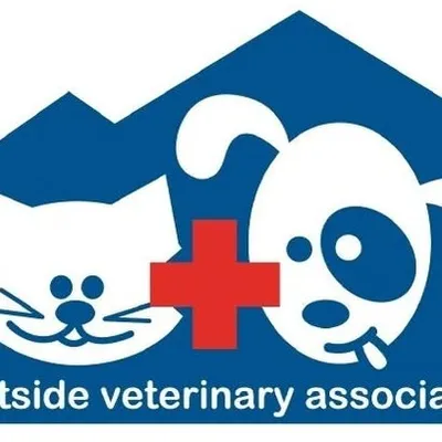eastsidevets.com's icon