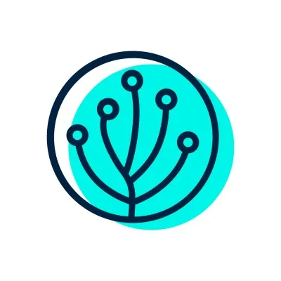 easyappreports.com's icon
