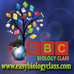 easybiologyclass.com's icon