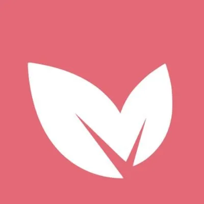 easymetering.com's icon