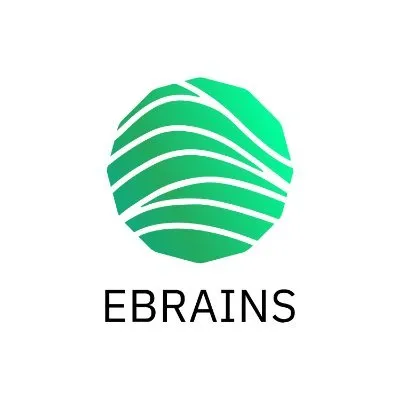 ebrains.eu's icon